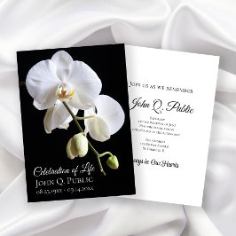 White Orchid Flowers on Black Firande of Life Inbjudningar