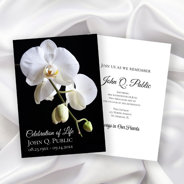 White Orchid Flowers on Black Firande of Life Inbjudningar (Skapare uppladdad)