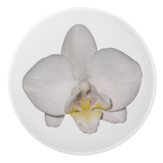 White Orchid Knopp