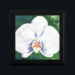 White Orchid Minnesask<br><div class="desc">ursprunglig romantisk vit färgsfärg för orkidéfärgning av H Cooper</div>