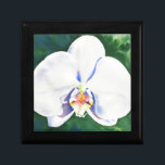White Orchid Minnesask<br><div class="desc">ursprunglig romantisk vit färgsfärg för orkidéfärgning av H Cooper</div>