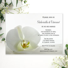 White Orchid och Möhippa Veil Bröllop