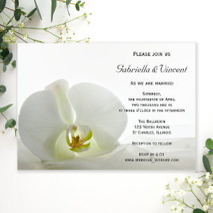 White Orchid och Möhippa Veil Bröllop Inbjudningar