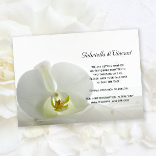 White Orchid och Veil Bröllop spara datum Inbjudningar