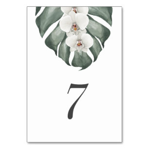 White Orchid på Monstera Tropical Bröllop Bordsnummer