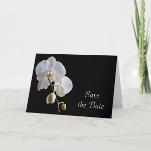 White Orchid på Svarta Bröllop spara datum Meddelande