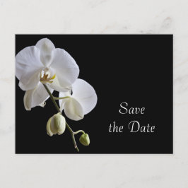 White Orchid på Svarta Bröllop spara datum Meddelande Vykort