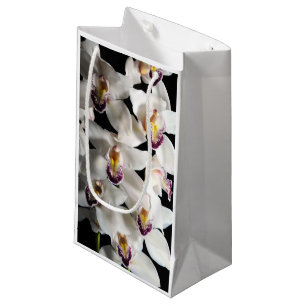 White Orchid Spray
