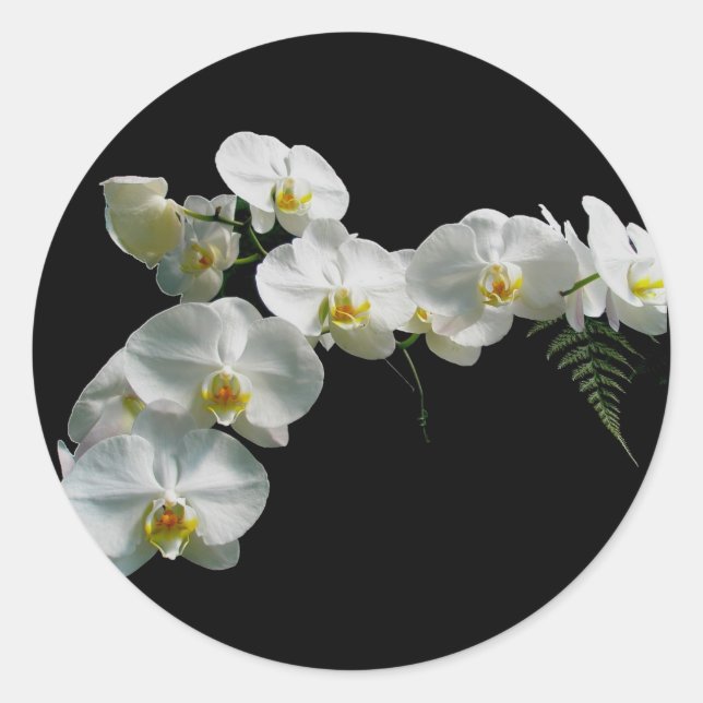 White Orchid Stickers Runt Klistermärke (Framsida)