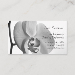 White Orchid Student