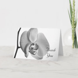 White Orchid Tack Kort