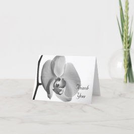 White Orchid Tack Kort