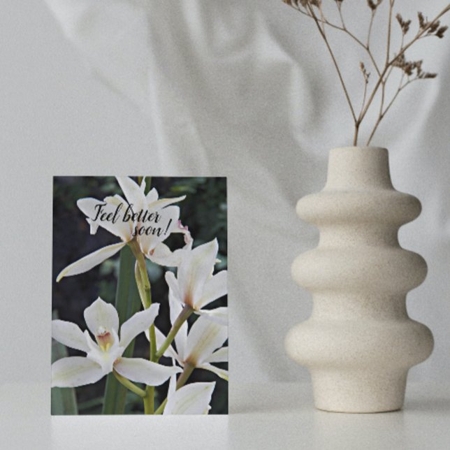 White Orchids Blommigt Get well Kort (In Situ)