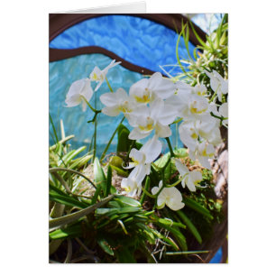 "White Orchids" Hälsningskort