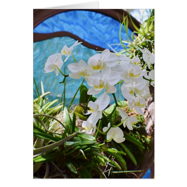 "White Orchids" Hälsningskort (Framsidan)