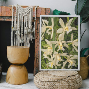 White Orchids och Maidenhair Ferns Blommigt Fototryck
