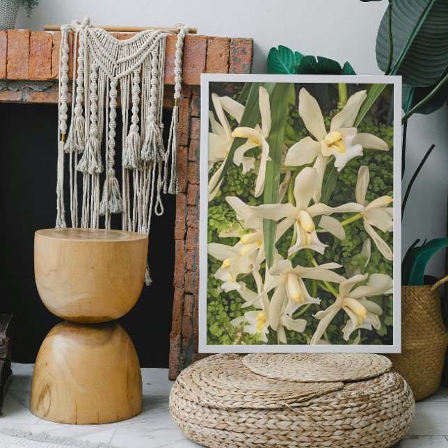 White Orchids och Maidenhair Ferns Blommigt Fototryck (In Situ Framed)