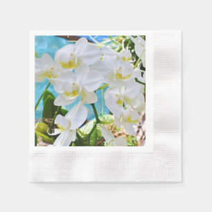 White Orchids Pappersservett