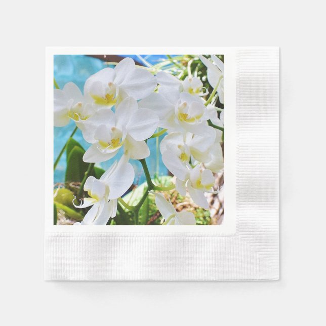 White Orchids Pappersservett (Framsidan)