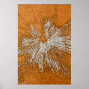 White på Guld Paintball Poster