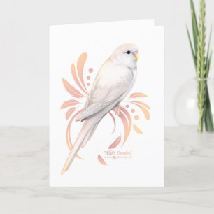 White Parakeet Tack Kort
