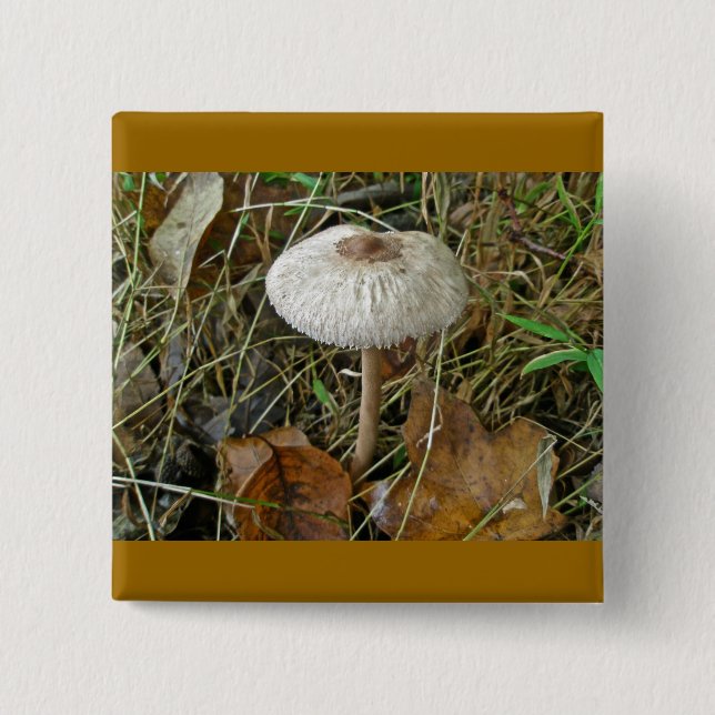 White Parasol Mushroom Magnet Knapp (Framsida)
