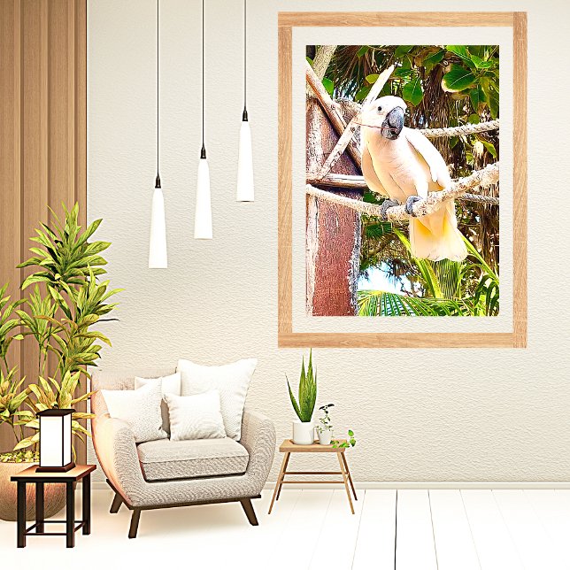 White Parrot Mexican Tropical Poster (Skapare uppladdad)