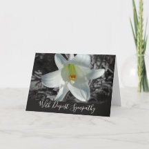 White Påsk Lily Deepest Sympathy Card