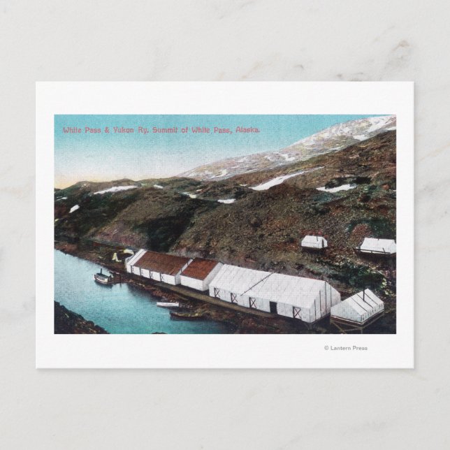 White Pass & Yukon Railroad Tåg Vykort (Framsida)