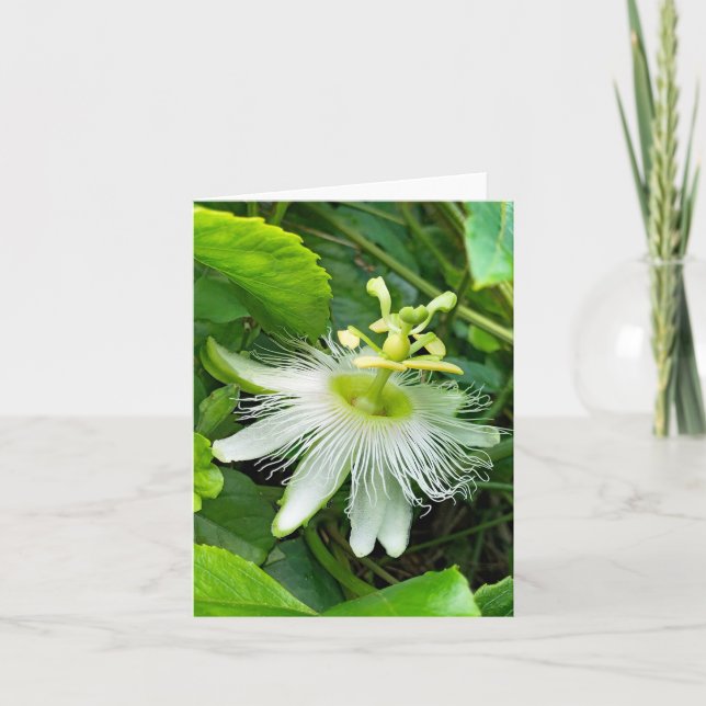 White Passiflora Kort (Framsida)