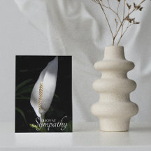 White Peace Lily Blommigt Sympathy