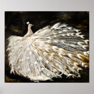 White Peacock Oljemålning Fine Art Poster
