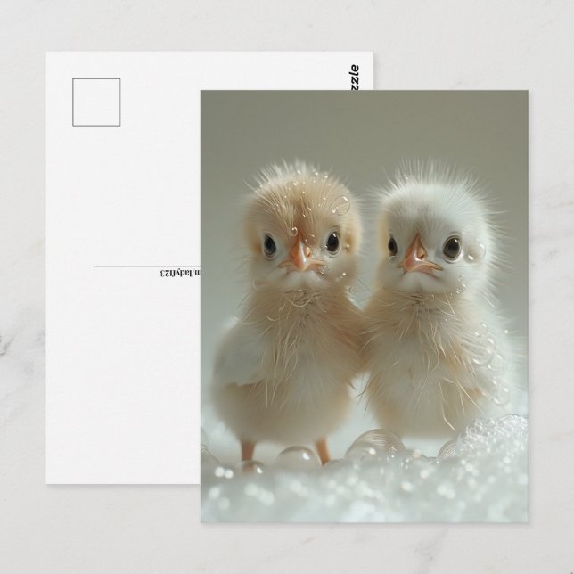 White peacock spädbarn, Postcross Vykort (Fram/baksida)