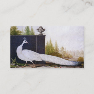 White Peacock Visitkort