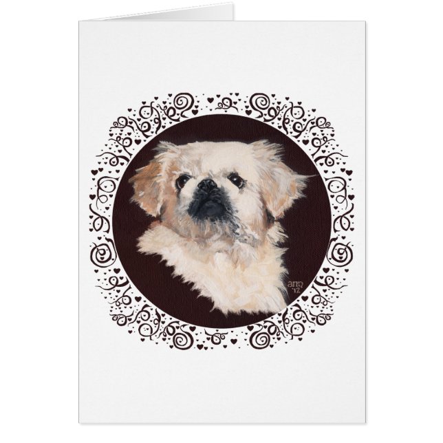 White Pekingese Head Study Hälsningskort (Framsidan)