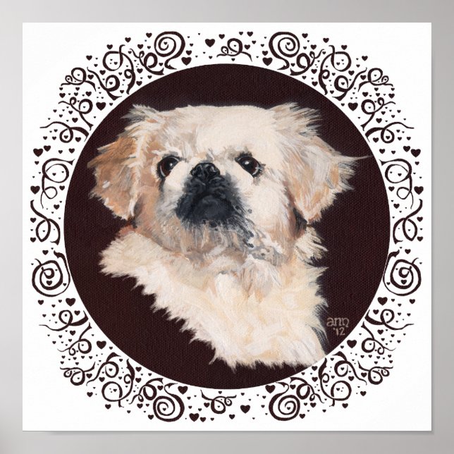 White Pekingese Head Study Poster (Framsidan)