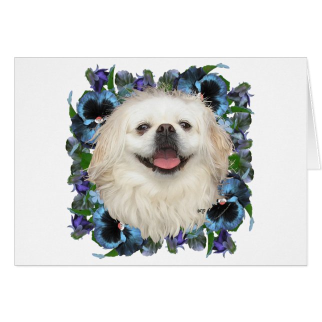 White Pekingese med Pansies Hälsningskort (Framsidan Horizontal)