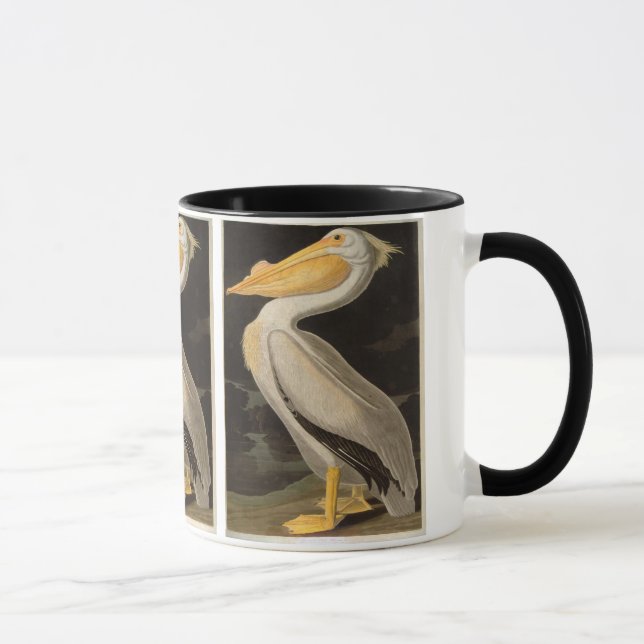 White Pelican, John James Audubon Mugg (Höger)