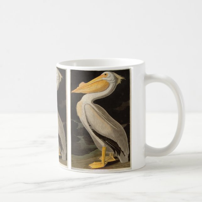 White Pelican, John James Audubon Mugg (Höger)