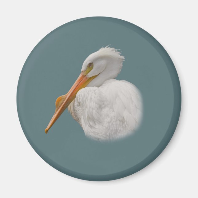 White Pelican Magnet (Framsidan)