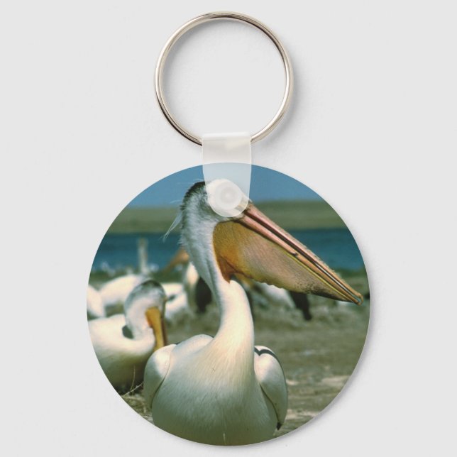 White Pelican Nyckelring (Framsida)