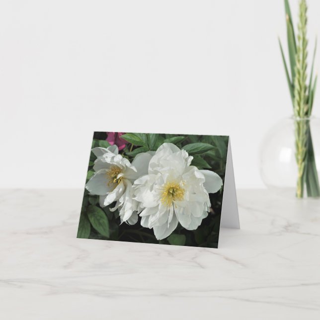 White Peonies Anteckningskort (Framsida)
