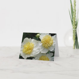 White Peonies Anteckningskort