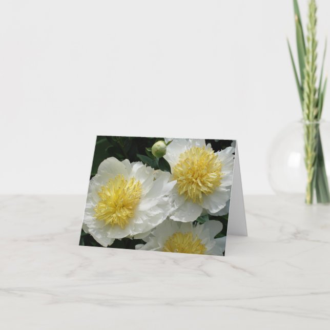 White Peonies Anteckningskort (Framsida)