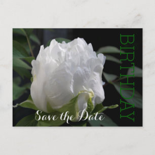 White Peony 35e Birthday Save Date Postcard Meddelande Vykort