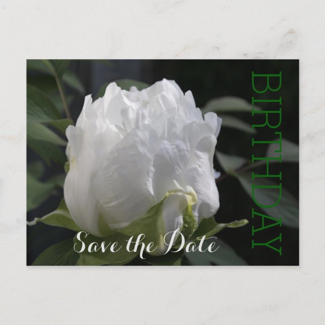White Peony 35e Birthday Save Date Postcard Meddelande Vykort (Framsida)