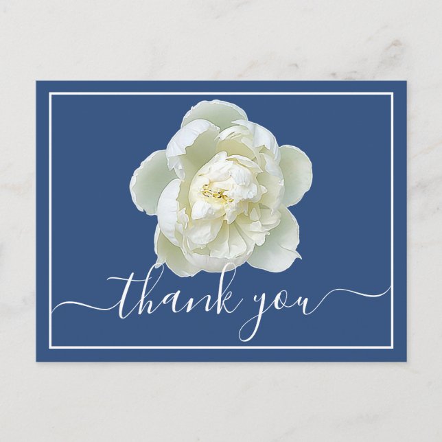 White Peony Blue Background Tack  Vykort (Framsida)