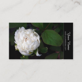 White Peony Floral Photography Affärskorts Visitkort