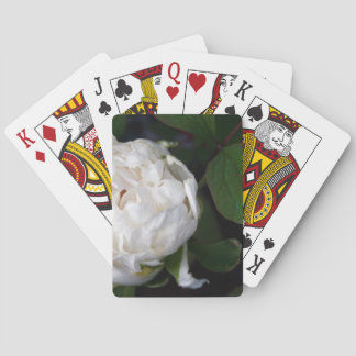 White Peony - Floral Photography - Casinokort