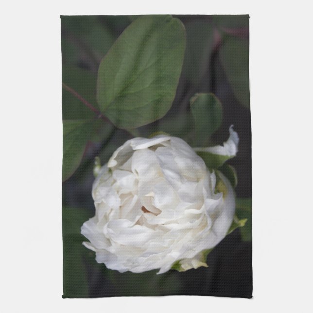 White Peony Floral Photography - Kitchen Towels Kökshandduk (Vertikal)